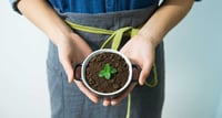 How to grow your restaurant in 12 months and improve ROI_blog