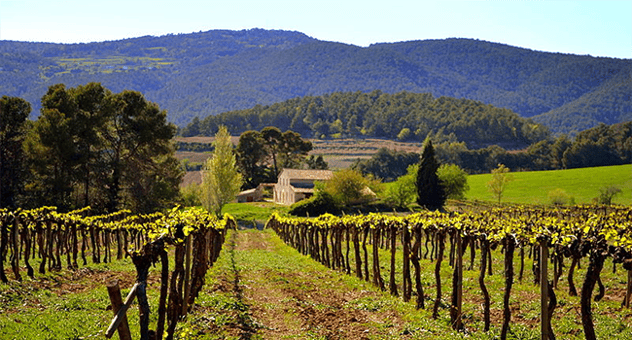 Spanish wine country.png