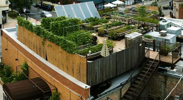 Sustainable_Restaruants_Uncommon_Ground.jpg Sustainable_Restaruants_Uncommon_Ground.jpg