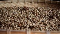 Coffee beans 198x106