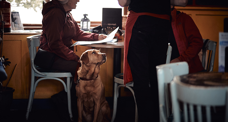 Dog-Friendly-restaurant