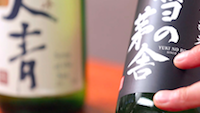 Sake 101 - the basics.png
